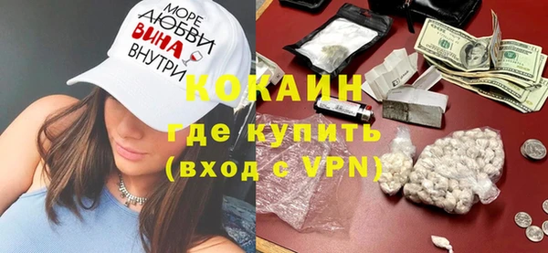 дживик Алексин