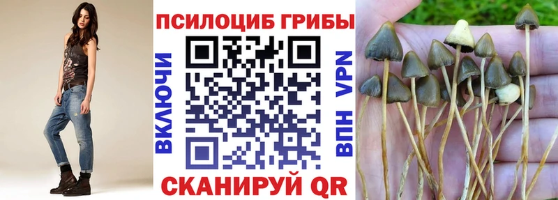 Галлюциногенные грибы Magic Shrooms  Котельники 